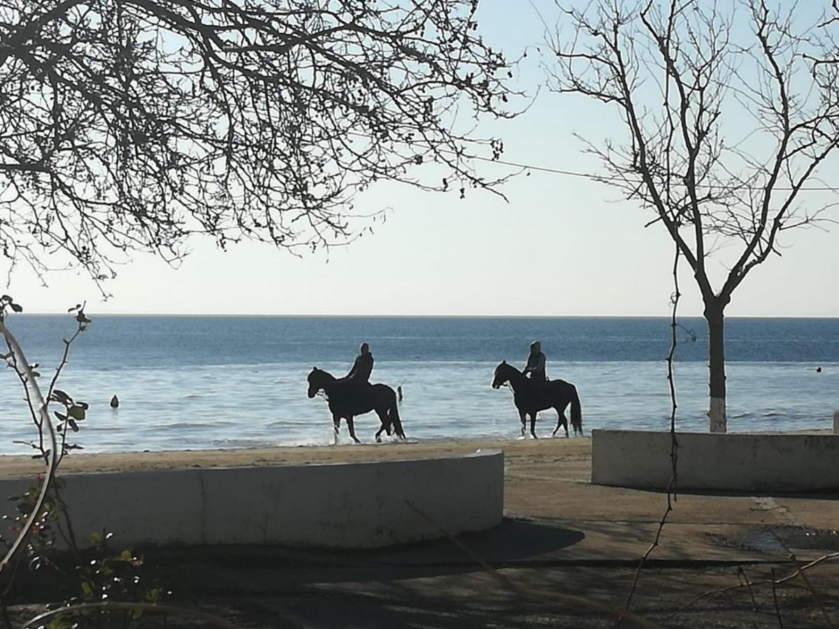 Villa Fuat Ερντέκ Εξωτερικό φωτογραφία