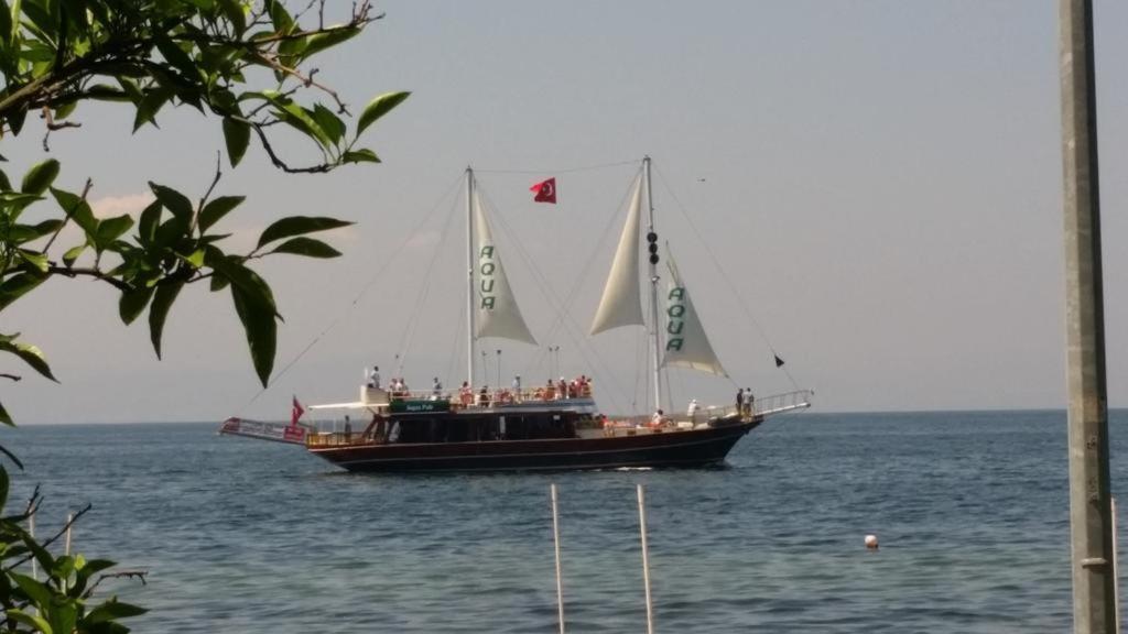 Villa Fuat Ερντέκ Εξωτερικό φωτογραφία